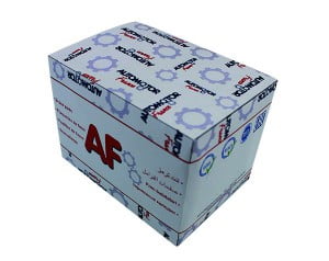 Automotor France BOITE AF